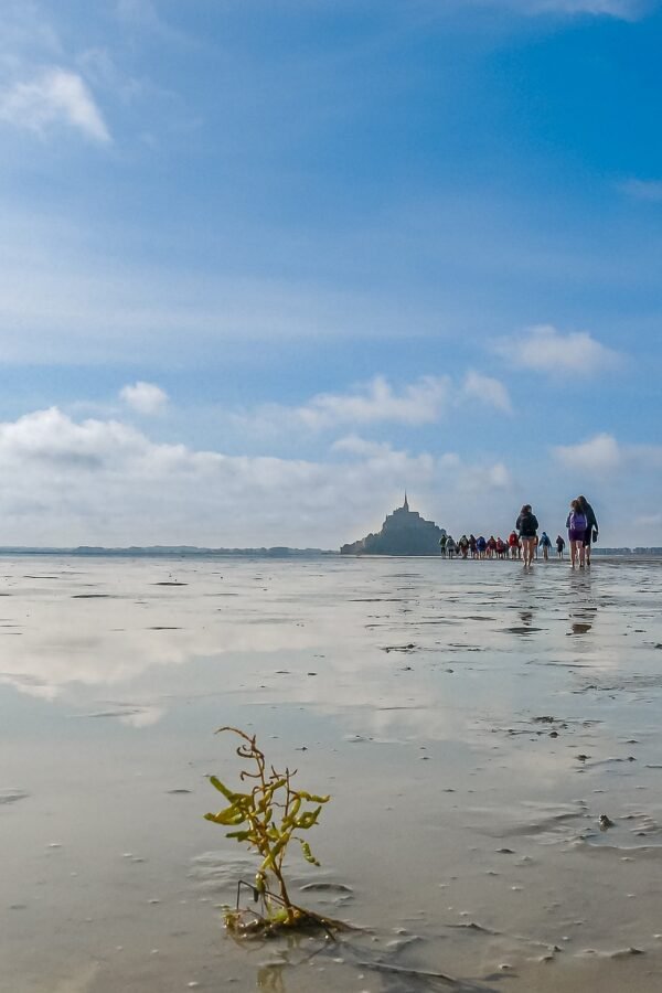 mont-saint-michel-gc8e70ba64_1920